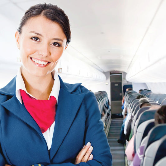 Crew implementing in-flight security mea Training | AVSEC | 11.2.3.11 | E-Learning